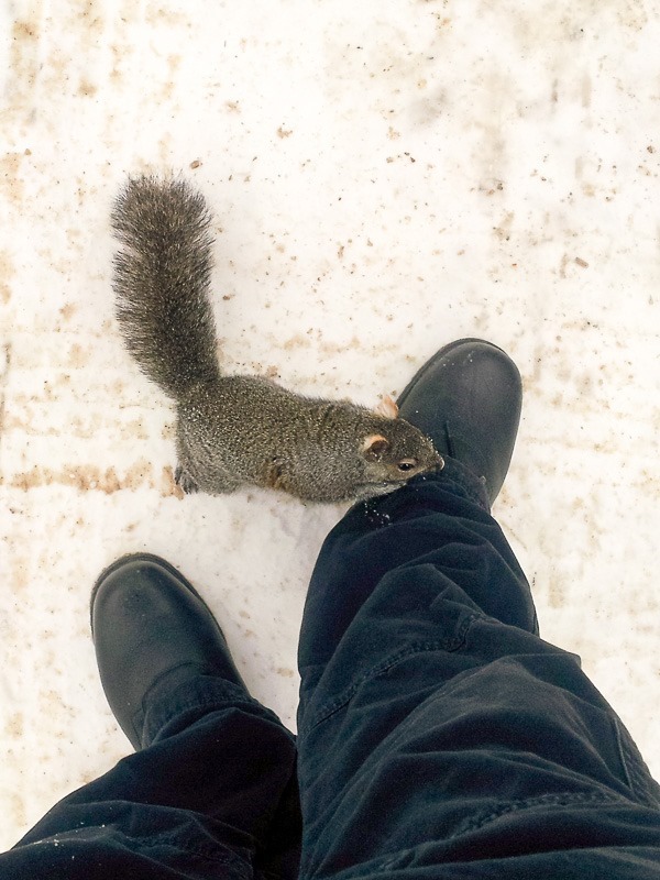 20130223-20130223_110458