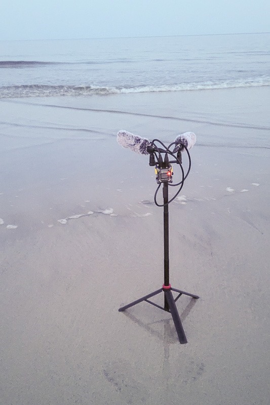 20240825_203149 20240825_203149