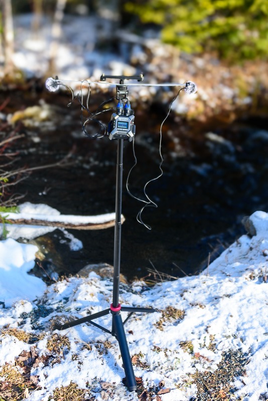 Zoom F3 plus Clippies