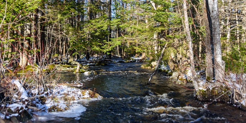 Meltwater galore for recording
